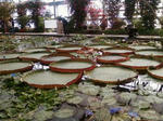 20100504-13.jpg