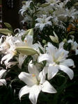 20100504-14.jpg