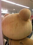 20100516-2.jpg