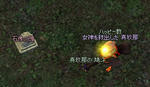 mabinogi_2010_06_04_002.jpg