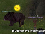 mabinogi_2010_06_04_006.jpg