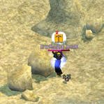 mabinogi_2010_06_21_004.jpg