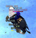 mabinogi_2010_06_22_007.jpg