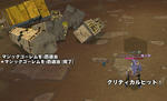 mabinogi_2010_06_24_006.jpg