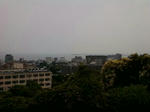 20100708.jpg