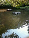 20100708-4.jpg