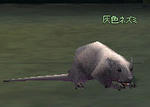 98c5be08.jpg