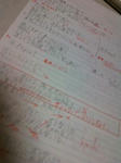 20100815.jpg