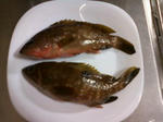 20100918.jpg