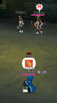 mabinogi_2010_09_19_011.jpg