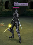 mabinogi_2010_10_15_003.jpg