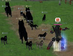 mabinogi_2010_10_15_001.jpg