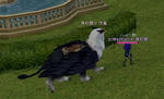 mabinogi_2010_11_06_005.jpg
