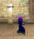 mabinogi_2010_11_20_006.jpg