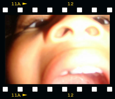 frame2981418.jpg