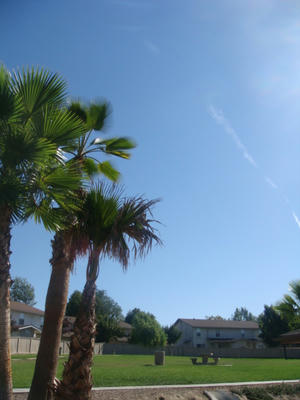 DSC02373.JPG