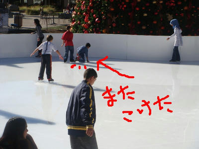 iceskate6.JPG