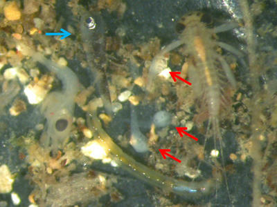 bf322955.jpg