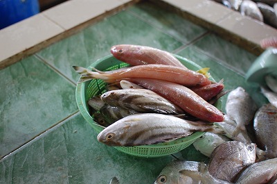 http://blog.cnobi.jp/v1/blog/user/141175248d6785ffe3794f91c3bcfa7d/1277400553