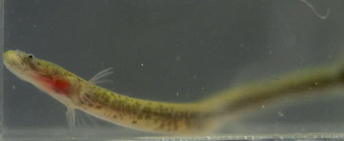 5758d4ab.jpg