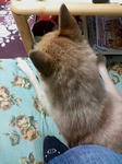 20071014163228.jpg
