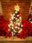 20071201182120.jpg