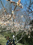 20080315112304.jpg