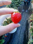 20080315171334.jpg