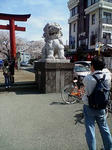 20080329095244.jpg