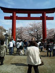 20080329095423.jpg
