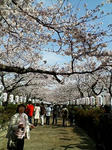 20080329095511.jpg