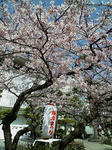 20080329095616.jpg