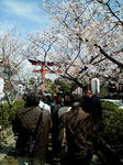 20080329100527.jpg