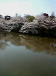 20080329100941.jpg