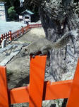 20080329102457.jpg