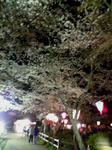 20080404203814.jpg