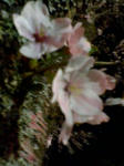20080404204007.jpg