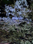 20080404205543.jpg