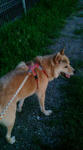 20080903182136.jpg