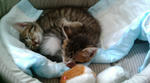 20100718121959.jpg