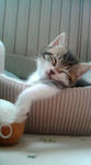 20100718144318.jpg