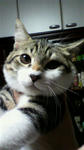 2010100317350000.jpg