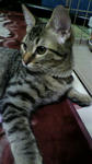 2010101716560000.jpg