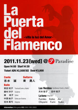 flamenco_s.jpeg