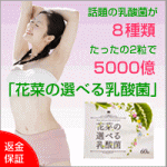 花菜の選べる乳酸菌