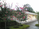 hyakunitibeni.jpg