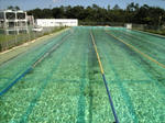 2007092101.jpg