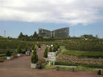 flower_01.jpg