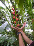 flower_04.jpg