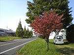 20071025022.jpg